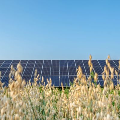 Agrivoltaïque : des panneaux solaires sont installés dans un champs comme sur un hangar photovoltaïque agricole