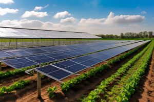 Avantage énergie solaire . des panneaux sont installés au sol dans un champ.